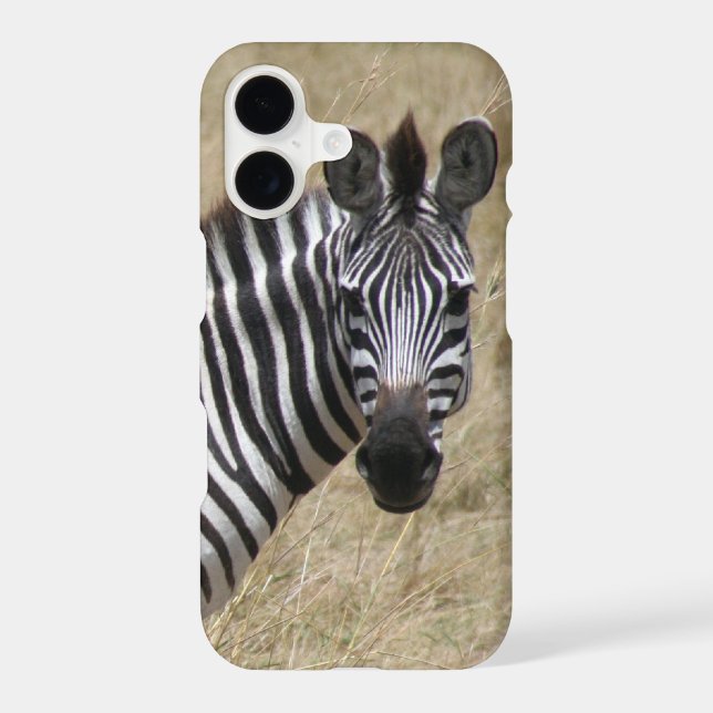 zebra looks (Back)