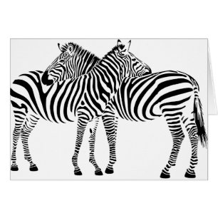 Zebra Love
