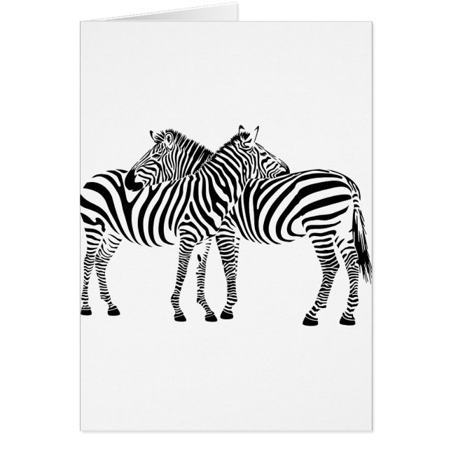 Zebra Love (Front)