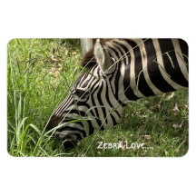 Zebra Love...