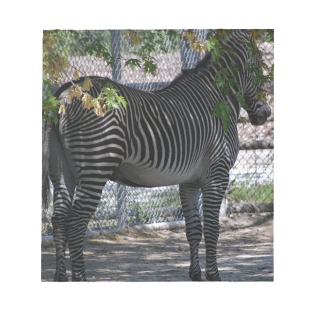Zebra Love Notepad (Front)