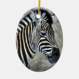Zebra Lovers Art Christmas Ornament
