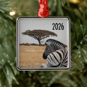 Zebra Lying Down, Kenya Landscape, Acacia Tree Metal Tree Decoration