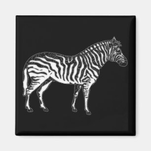 Zebra Magnet
