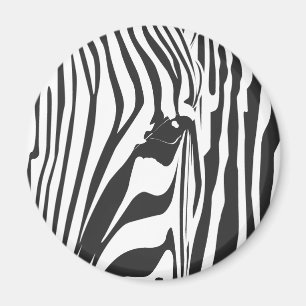 Zebra! Magnet