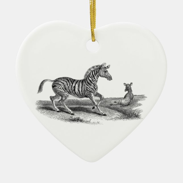 Zebra Mare Foal Vintage Art Drawing Ornament (Front)