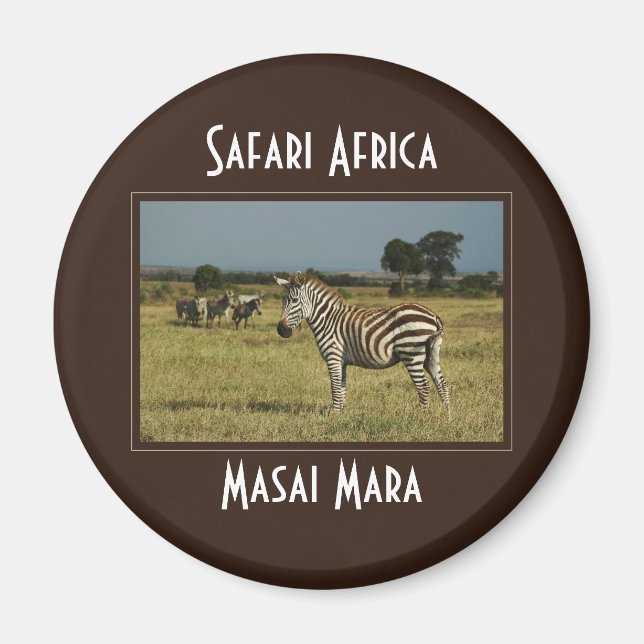 Zebra migration wildlife safari magnets (Front)