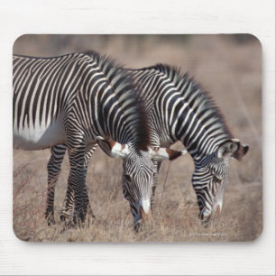 Zebra Mouse Mat