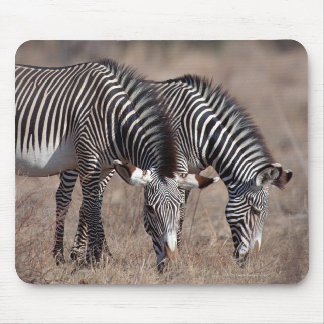 Zebra Mouse Mat (Front)