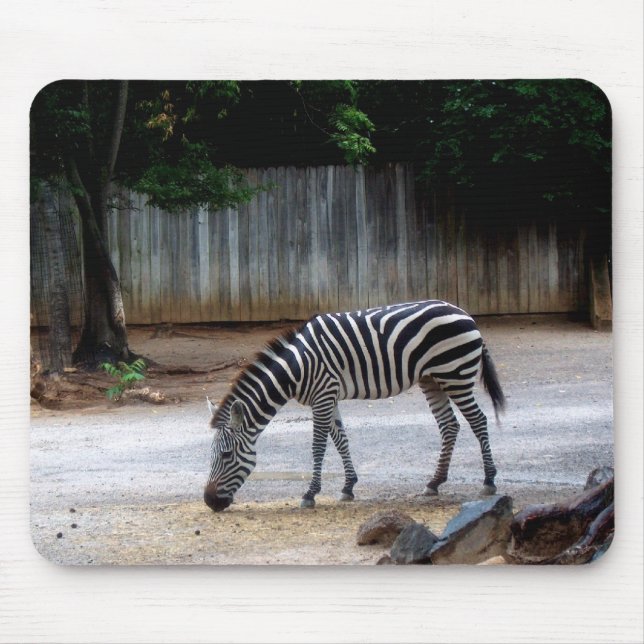 Zebra Mouse Mat (Front)