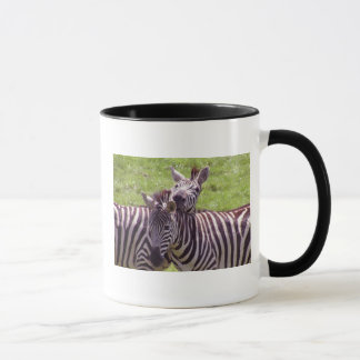 Zebra mug