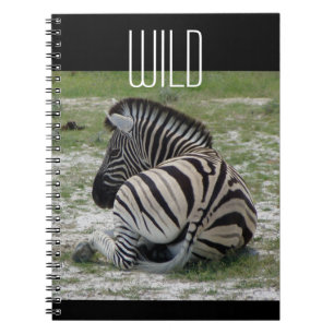Zebra Notebook