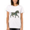 Zebra of a different colour