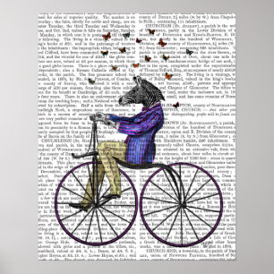 Zebra On Bicycle Poster