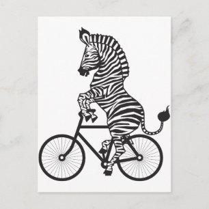 Zebra on Bike Postcard