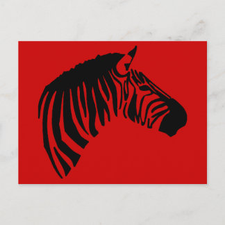 ZEBRA ON RED POSTCARD