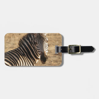 Zebra on the Savannah Luggage Tag