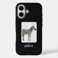Zebra on white and black with text