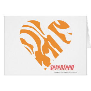 Zebra Orange 2