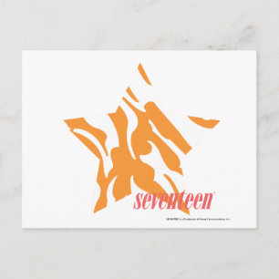 Zebra Orange 3 Postcard