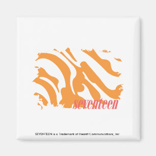 Zebra Orange 4 Magnet