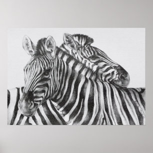 Zebra Original Pencil Drawing Posters