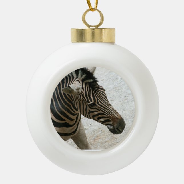 Zebra Ornament (Front)