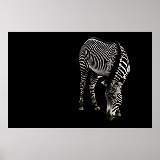 Zebra P4435 Print (Front)