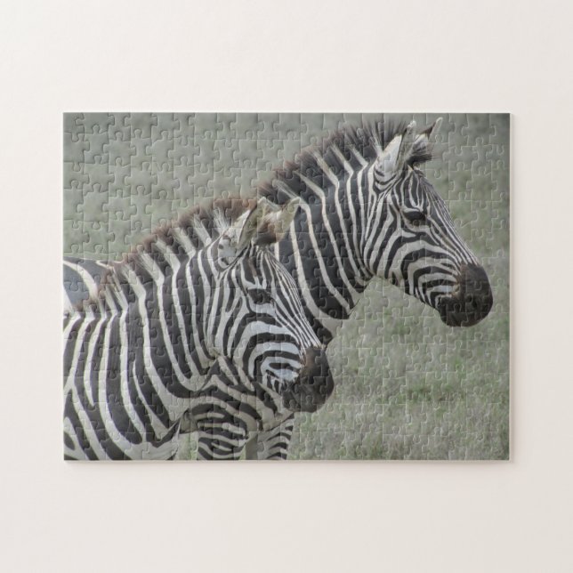 zebra pair jigsaw puzzle (Horizontal)