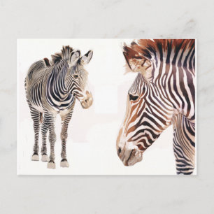 "Zebra Pair" Watercolor Wildlife Art Postcard