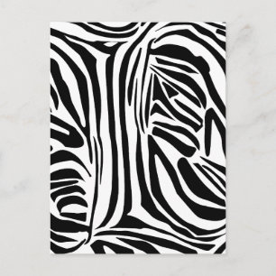 Zebra pattern postcard