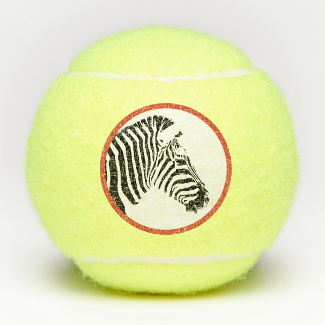 ZEBRA PENN 2 TENNIS BALL (Front)