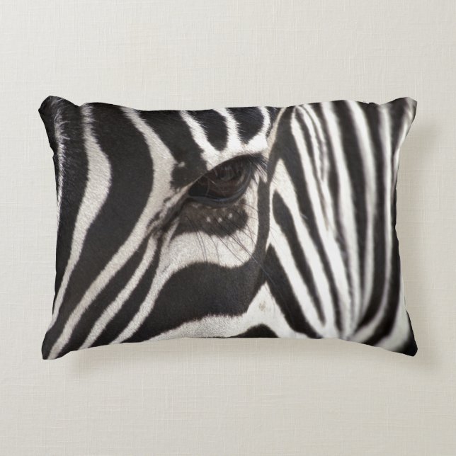 Zebra Pillow (Front)