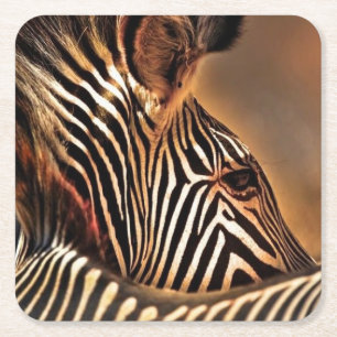 Zebra plastic coaster