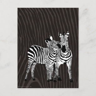Zebra Play Postcard
