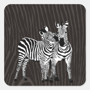 Zebra Play Square Sticker