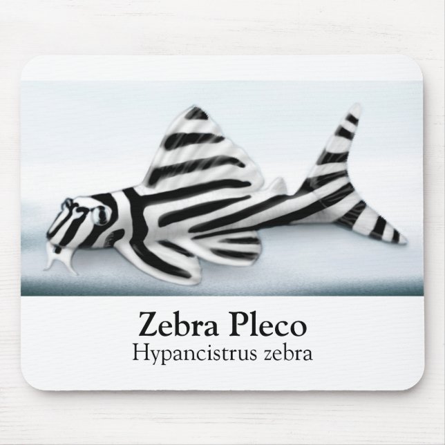 Zebra Pleco Mousepad (Front)