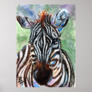 Zebra Portrait ACEO Poster