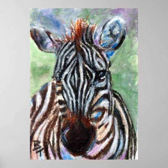 Zebra Portrait ACEO Poster (Front)