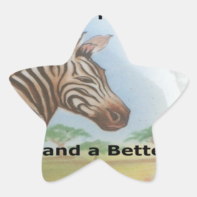 Zebra Portrait, Amboseli: The Spirit of the Savann Star Sticker (Front)