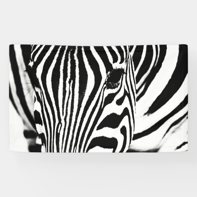 Zebra portrait black and white banner (Horizontal)
