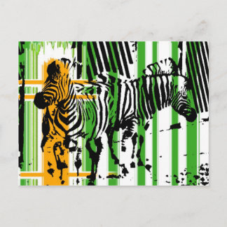 Zebra Postcard