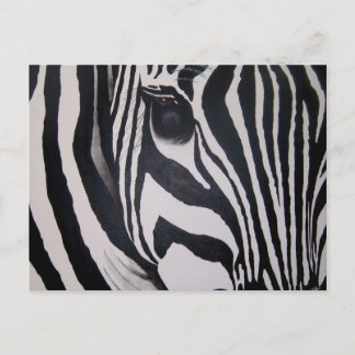 Zebra Postcard