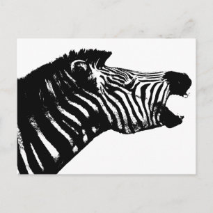 Zebra Postcard