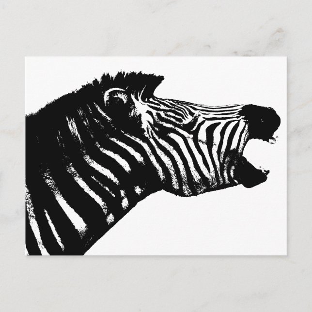 Zebra Postcard (Front)
