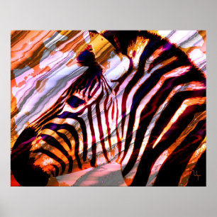 Zebra Poster