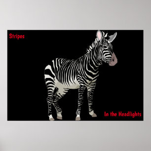 Zebra Poster