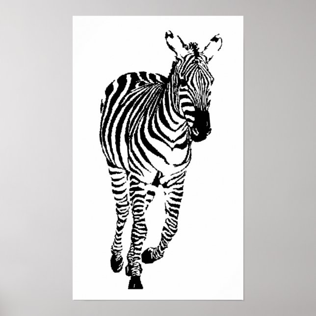 Zebra Poster (Front)