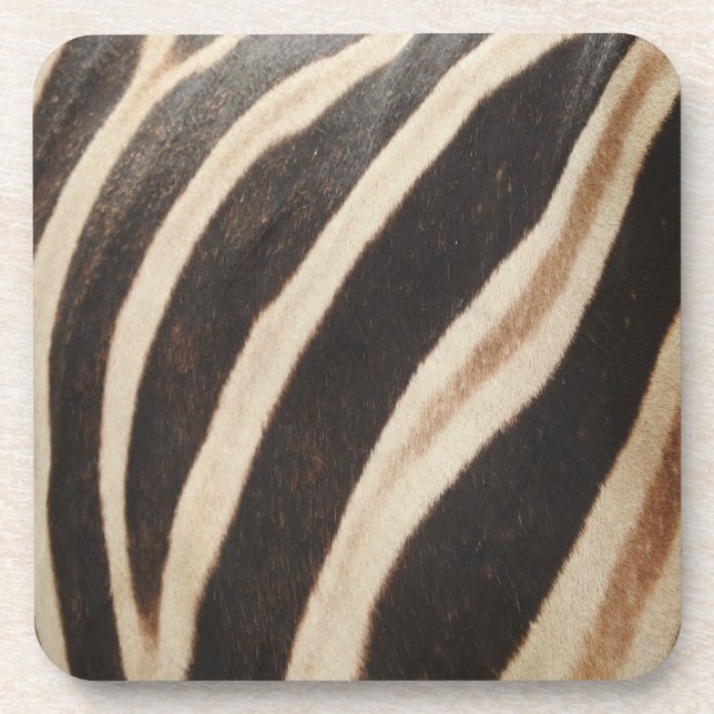 Zebra Print Coasters (Front)