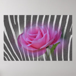 Zebra Print Rose